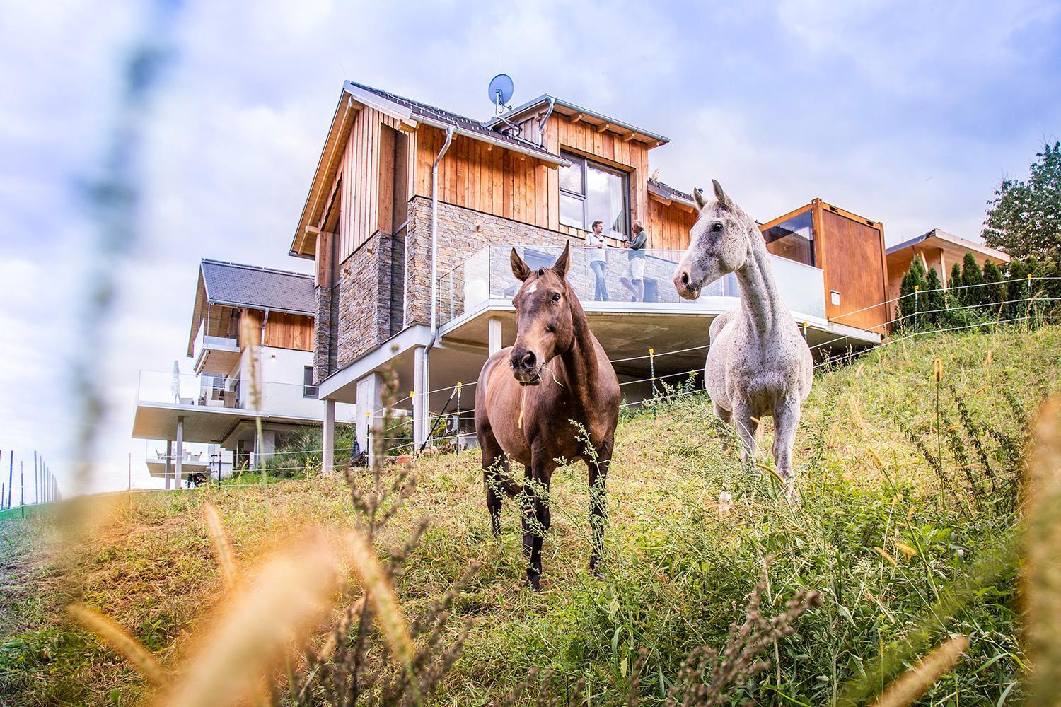 Golden Hill Country Chalets & Suites Waldschach Exteriér fotografie