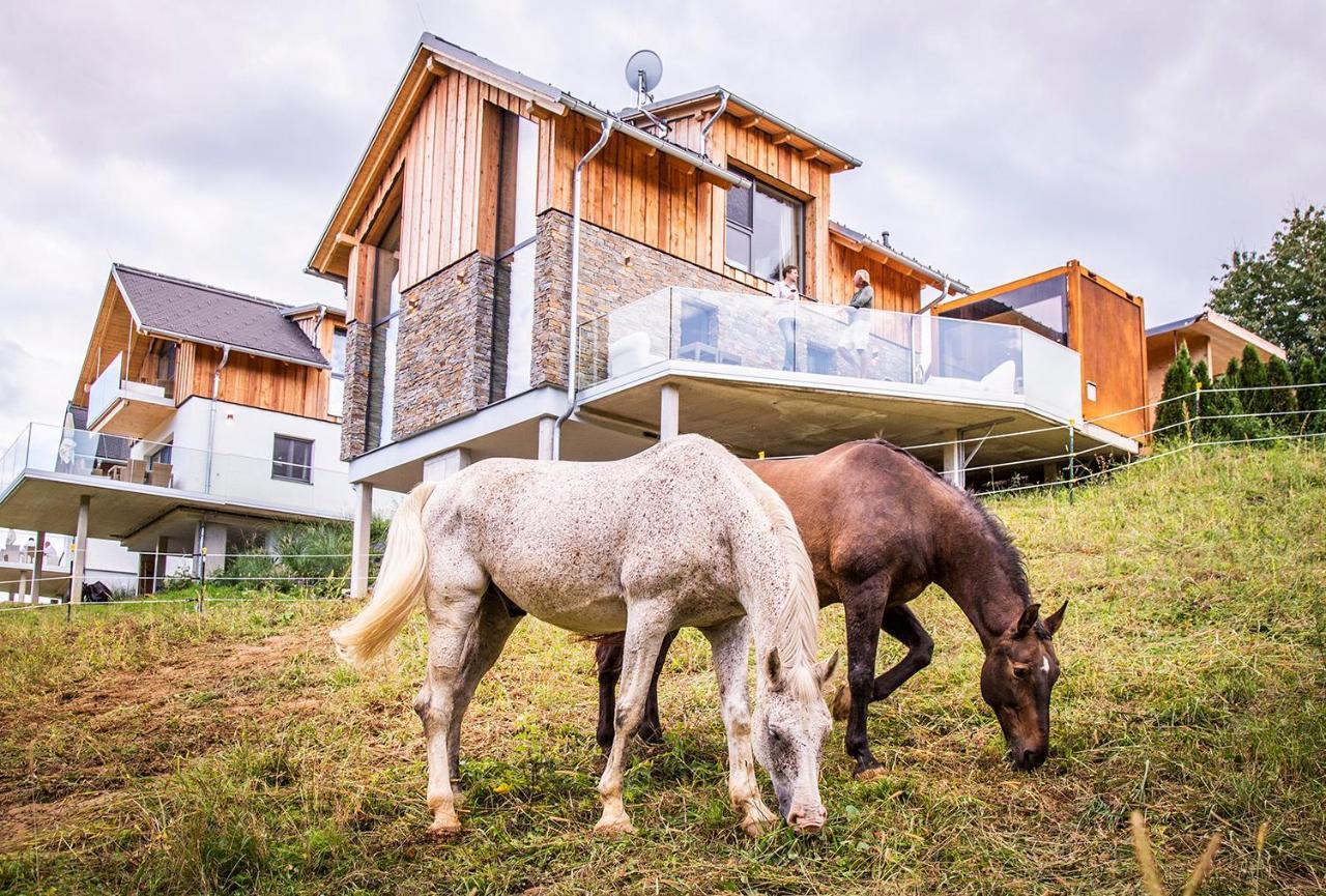 Golden Hill Country Chalets & Suites Waldschach Exteriér fotografie